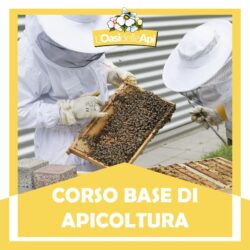 CORSO BASE DI APICOLTURA