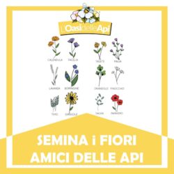 Bee My Future: semina anche tu i Fiori Amici delle Api