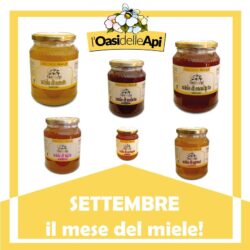 SETTEMBRE, il mese del miele!