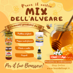 Il nostro “Mix dell’Alveare” per il tuo Benessere