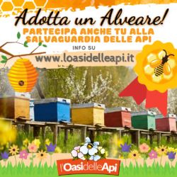 Adotta un Alveare de L’Oasi delle Api!