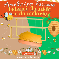 Apicoltori per Passione – Telaini da nido e da melario