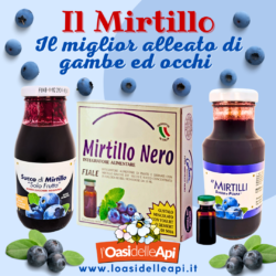 Il Mirtillo: il miglior alleato di Gambe ed Occhi