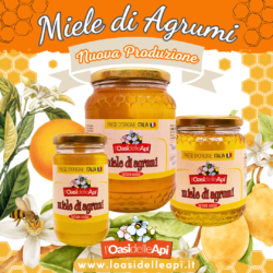 Miele di Agrumi – Nuova Produzione