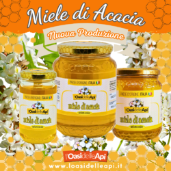 Miele di Acacia – Nuova produzione