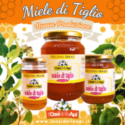 Miele di Tiglio – Nuova Produzione