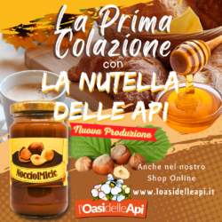 Nocciolmiele, la merenda sana e gustosa