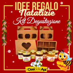 Idee regalo per Natale: Kit Degustazione Miele e golosità