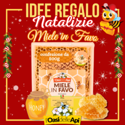 Idee Regalo per Natale: Miele in Favo