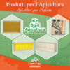 kit-start-apicoltura-oasi-delle-api-latina