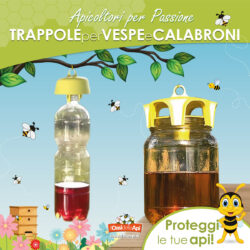 Trappole per insetti naturali. Questo è il periodo migliore!!