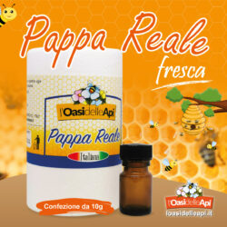 Pappa Reale Fresca