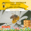 giornata-mondiale-delle-api-adotta-un-alveare-oasi-delle-api-miele-italiano-pappa-reale-latina-sermoneta
