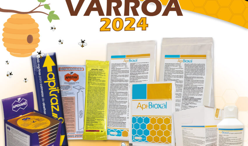 campagna-varroa-2024-oasi-delle-api-miele-italiano-pappa-reale-latina-sermoneta