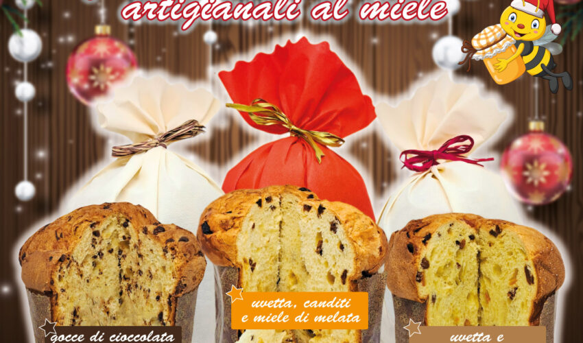 panettoni-artigianali-al-miele-cioccolato-uvetta-canditi-oasi-delle-api-sermoneta