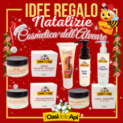 Idee regalo di Natale