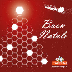 Auguri di Buon Natale da L’Oasi delle Api