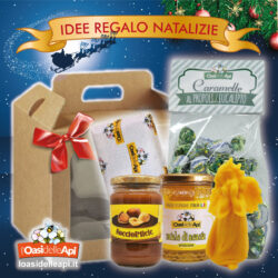 Idee regalo di Natale