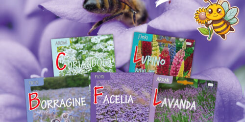 un-fiore-per-salvare-api-semi-lavanda-borragine-lupini-coriandolo-facelia-latina