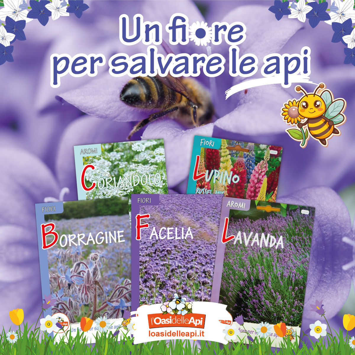 un-fiore-per-salvare-api-semi-lavanda-borragine-lupini-coriandolo-facelia-latina